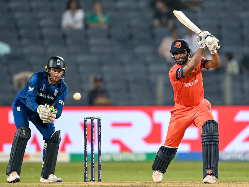 Cricket