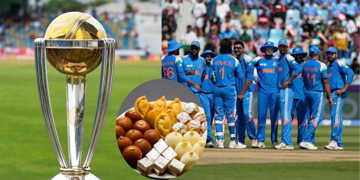 India Lost Hosting Rights Of Odi World Cup, Now Matches Will Be Played Here