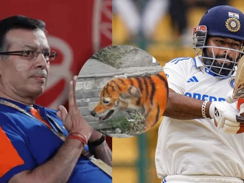 Goenka-Was-Stunned-To-See-Rishabh-Pants-Century-For-Team-India-Said-Straight-Away-Dog-And-In-Ipl