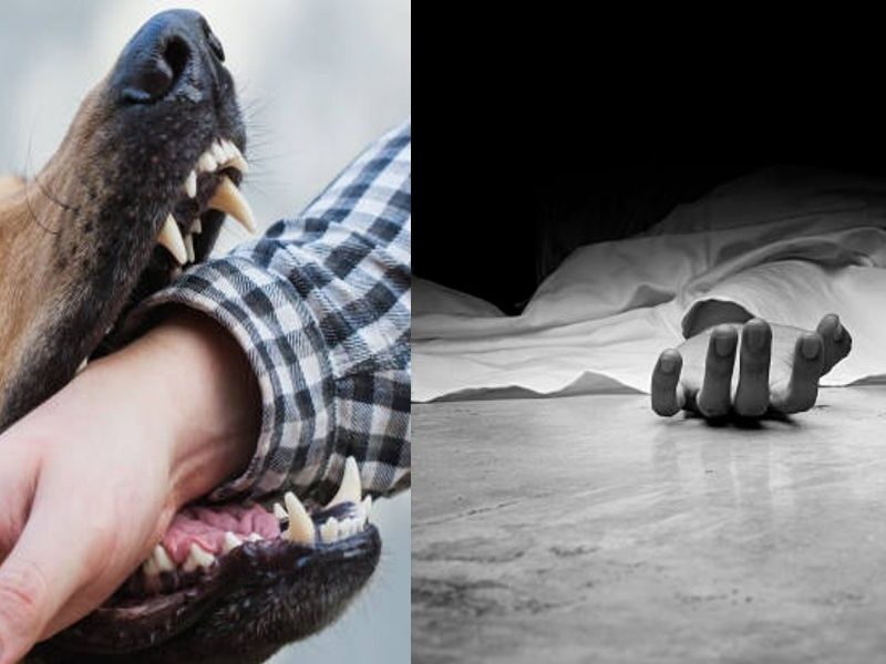 The-Player-Died-In-Agony-Due-To-Rabies-His-Pet-Puppy-Bit-Him-And-Took-His-Life-Away