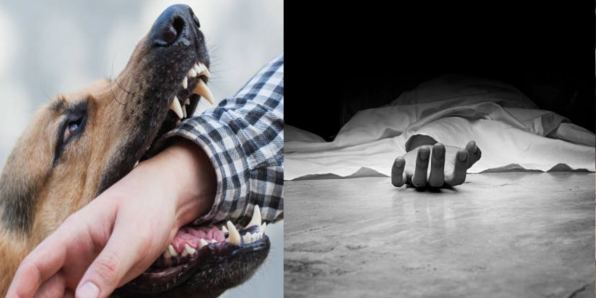 The-Player-Died-In-Agony-Due-To-Rabies-His-Pet-Puppy-Bit-Him-And-Took-His-Life-Away