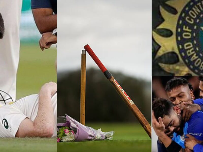 Cricket