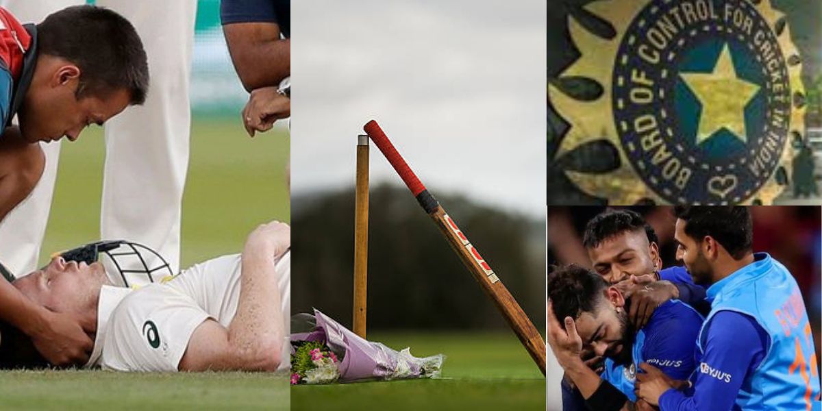 Cricket