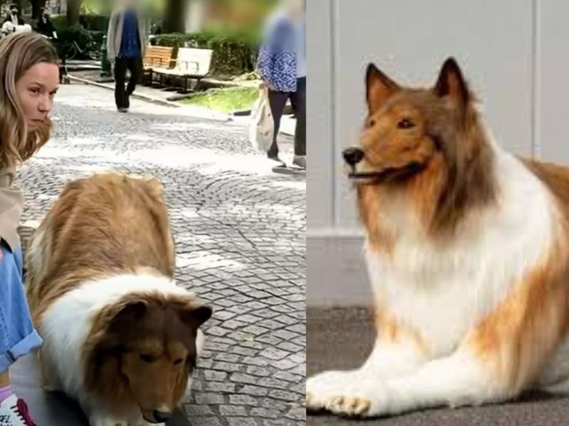 A-Man-Become-Dog-And-See-His-Viral-Video