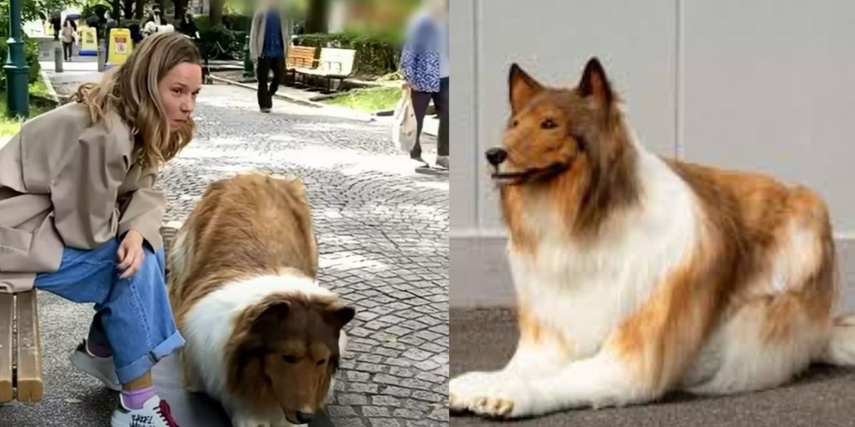 A-Man-Become-Dog-And-See-His-Viral-Video