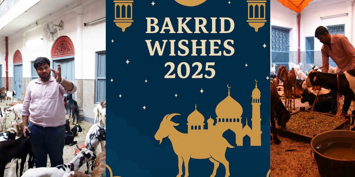 Jain-Community-Save-Live-Of-124-Goat-On-Bakrid