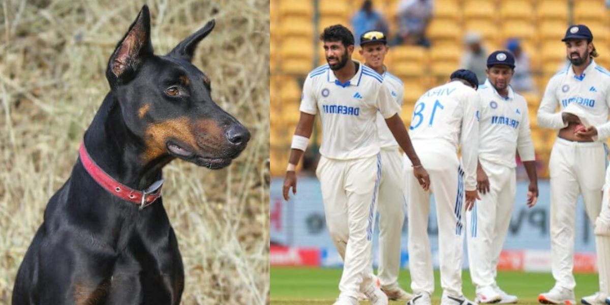 Former-Star-Calls-Team-India-Doberman-Dog