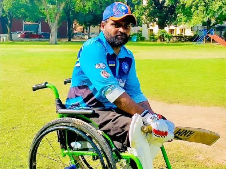 Cricket