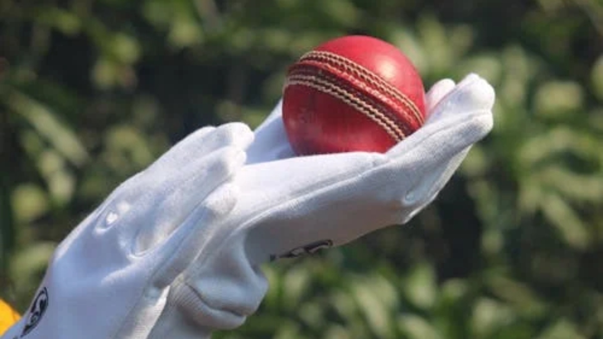 Cricketer Demise