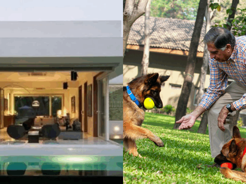 The-Great-Donor-Of-India-Who-Left-All-His-Wealth-Made-The-Dog-The-Owner-Of-Property-Worth-Crores