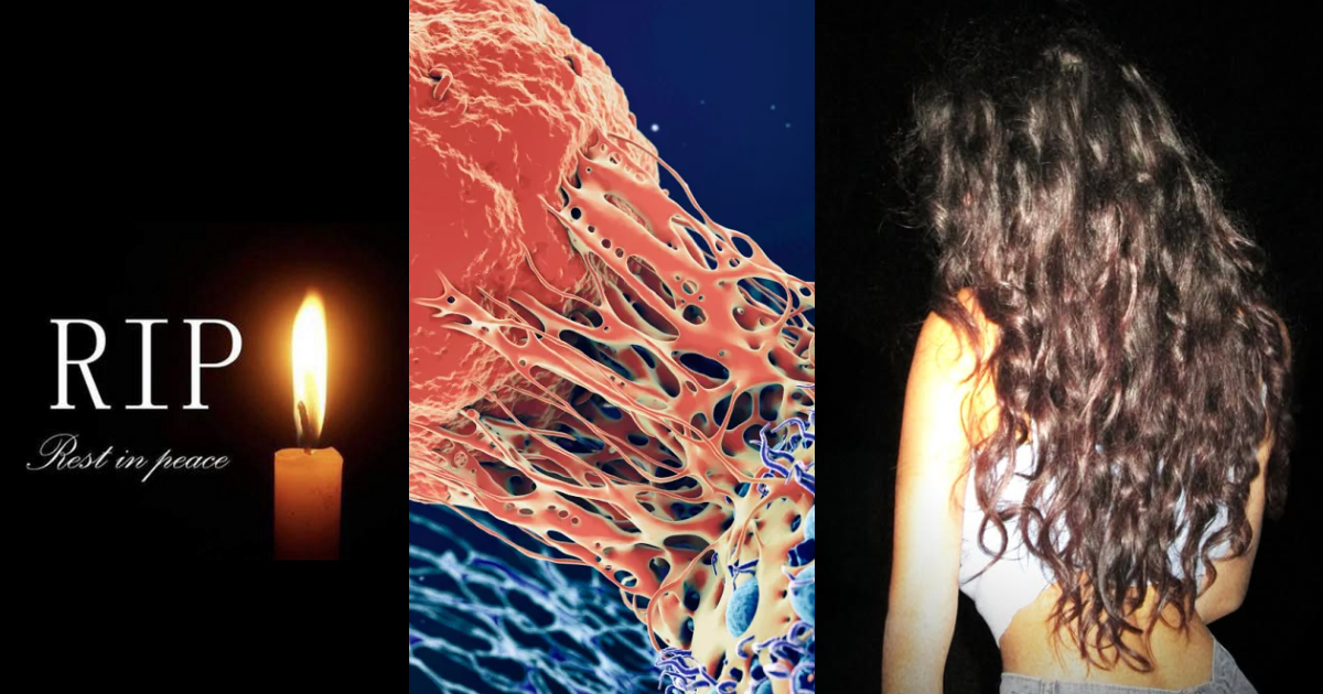 The Entire Film Industry Is In Mourning, 'Breast Cancer' Swallowed Another Talented Star
