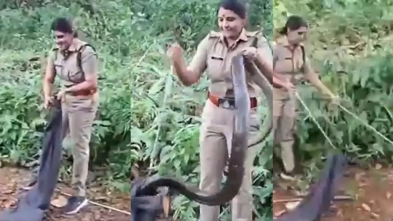 Forest Officer