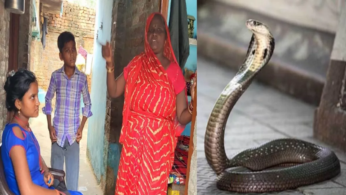 Snake Bitten