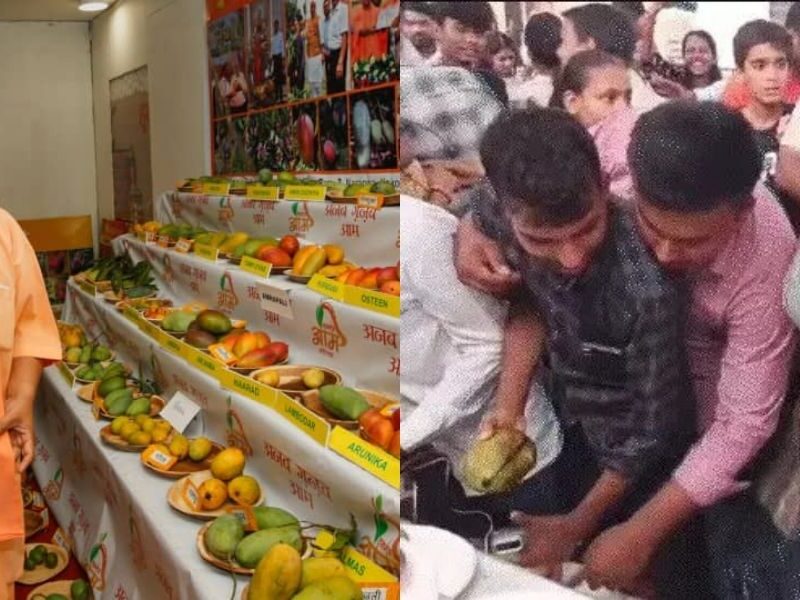 Mango-Exhibition-Became-A-Ground-For-Looting-People-Ran-Away-With-Their-Things-In-Dupatta-And-Bags-Viral-Video-Created-Uproar