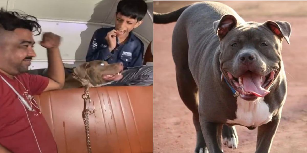 Viral-Video-Of-Dog-Biting-Kids