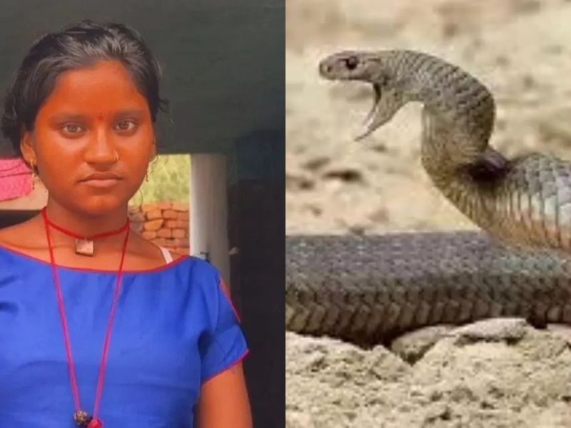Snake-Bitten-A-Girl-7-Times-In-A-Year