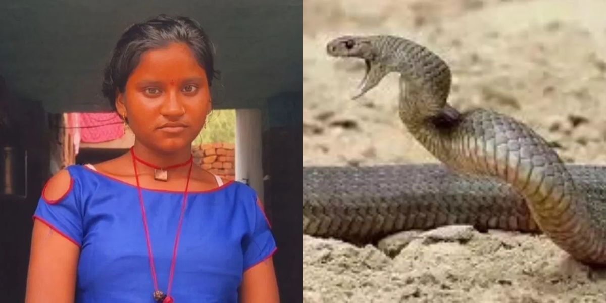 Snake-Bitten-A-Girl-7-Times-In-A-Year