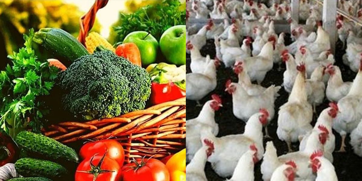 These-Are-Income-Sources-For-Villagers