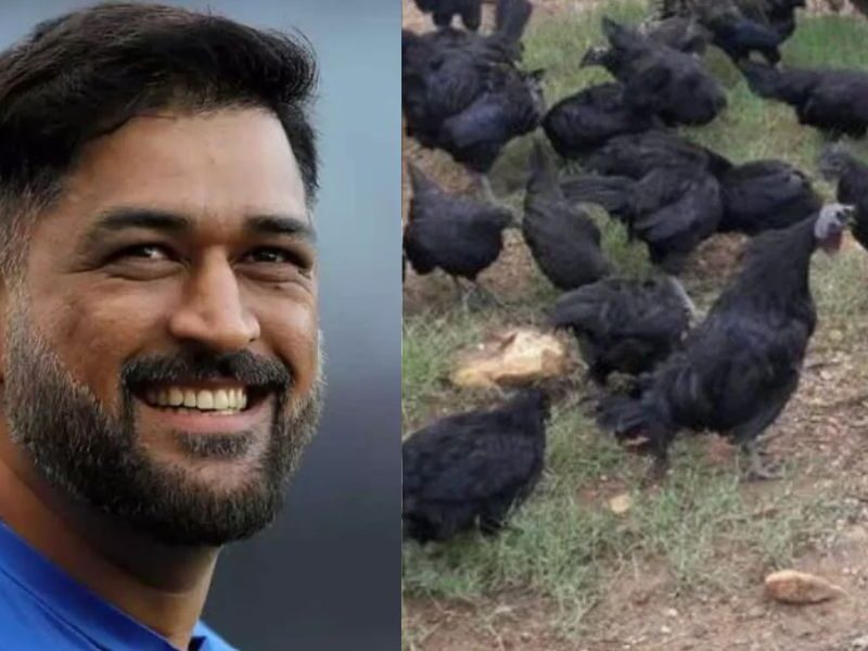 Ms-Dhoni-Earning-Crores-By-Selling-Chicken
