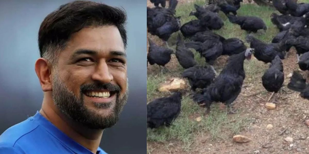 Ms-Dhoni-Earning-Crores-By-Selling-Chicken