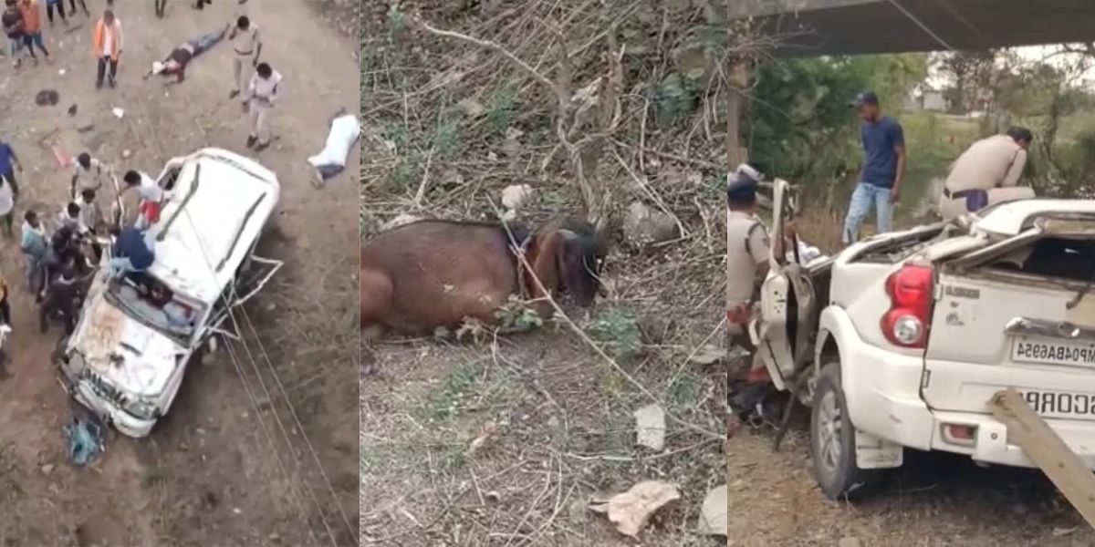 Four Members Of The Family Died But The Goat That Was To Be Sacrificed Survived In Jabalpur