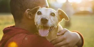 Sex With Dog