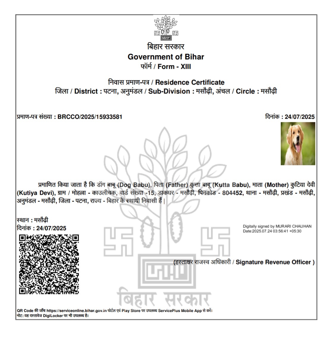 Dog Residential Certificate
