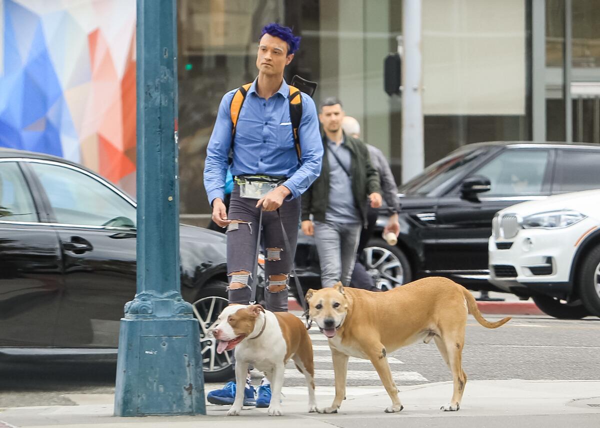 Sex With Dog