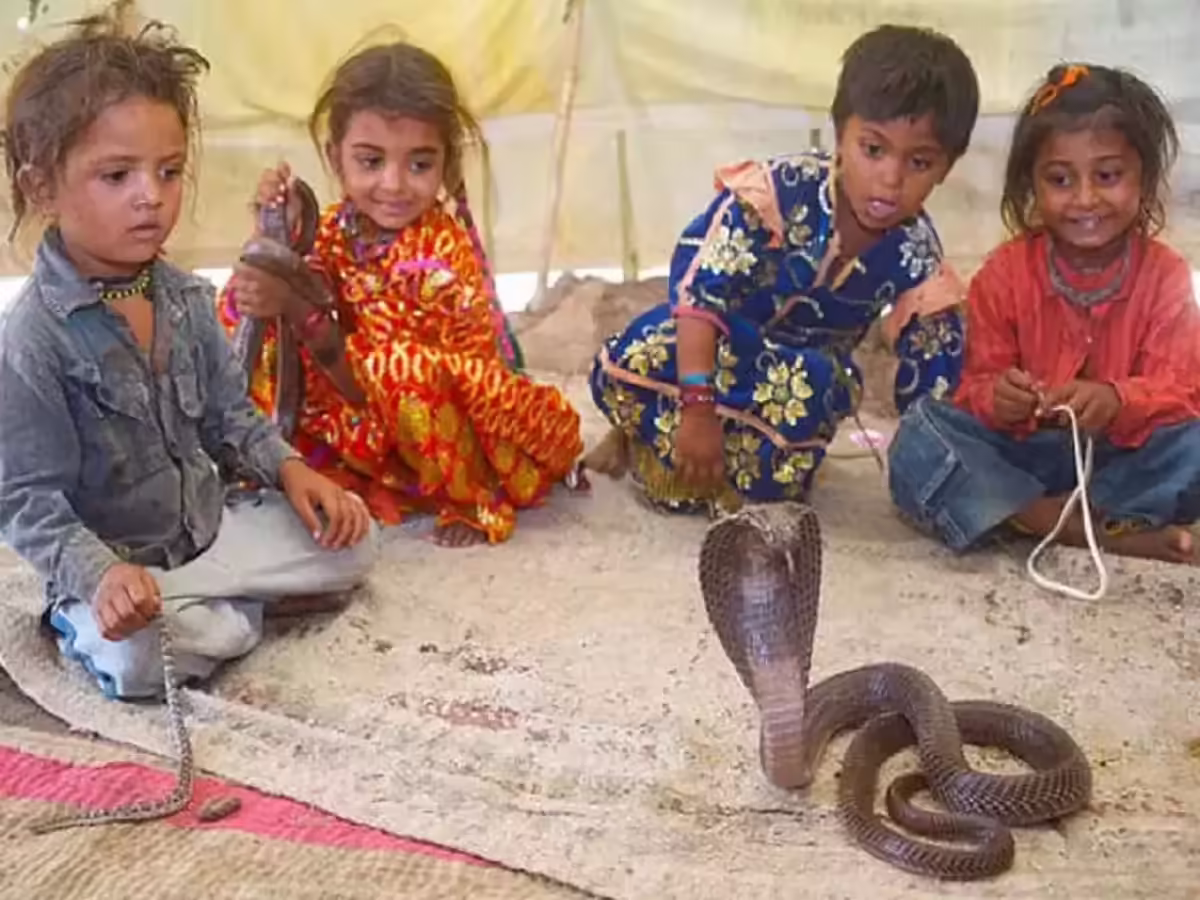 कभी देखे हैं ऐसे गांव? कहीं लोग खुद ही कर लेते हैं आत्महत्या, तो कहीं सांप को मानते हैं देवता 2 Weird Villages In India