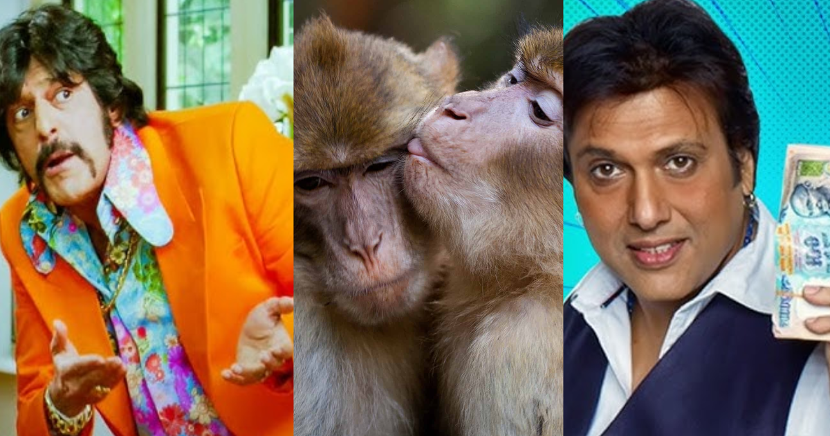 Superhit Film In Which 'Monkey' Got More Money Than Govinda And Chunky Pandey
