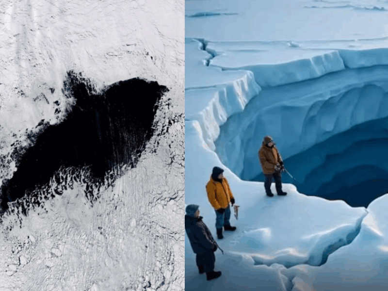 Discovery Revealed The Secret! Scientists Found Such Evidence