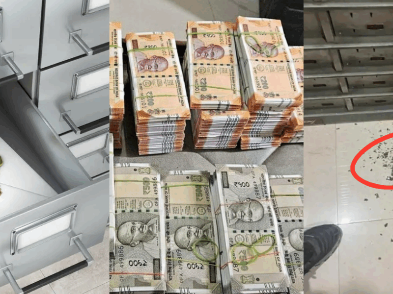 Termites Ate Away Rs 18 Lakhs Kept In Bank Locker, Only Waste Material Remained