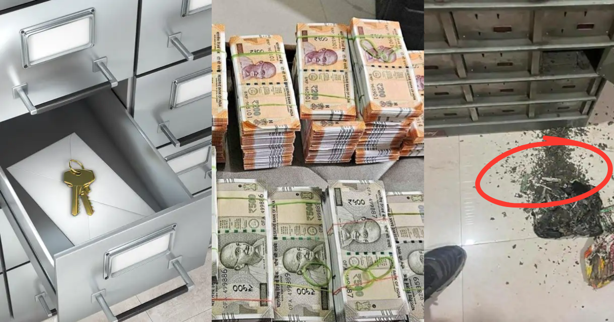 Termites Ate Away Rs 18 Lakhs Kept In Bank Locker, Only Waste Material Remained
