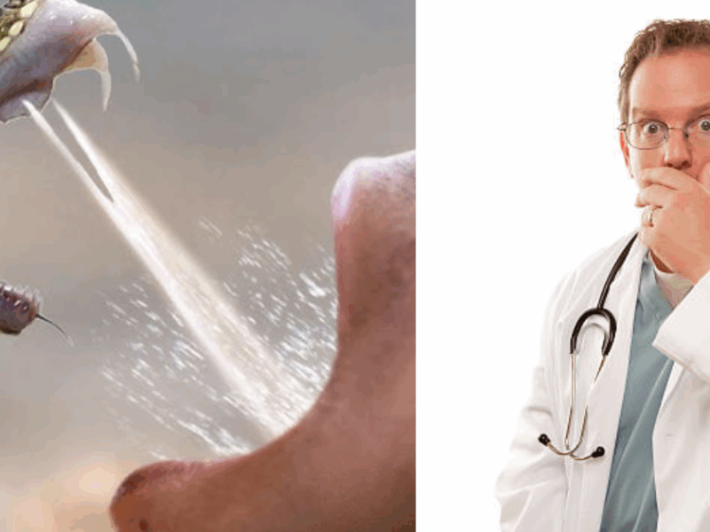 20 सालों से कोबरा जैसे सांपों का ज़हर पी रहा है ये शख्स, खून में मिला ऐसा टॉनिक डॉक्टर्स भी रह गए हैरान