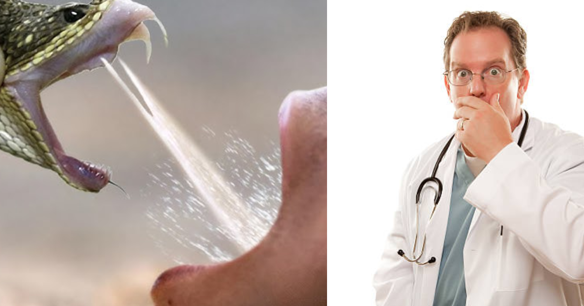 This-Person-Has-Been-Drinking-The-Poison-Of-Snakes-Like-Cobra-For-20-Years-Doctors-Were-Also-Surprised-To-Find-Such-A-Tonic-In-His-Blood