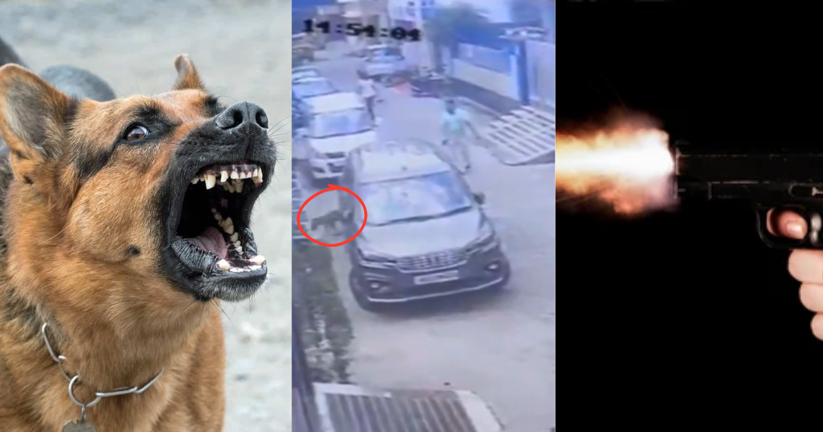 Retired Engineer Killed A Dog Just Because It Was Barking?