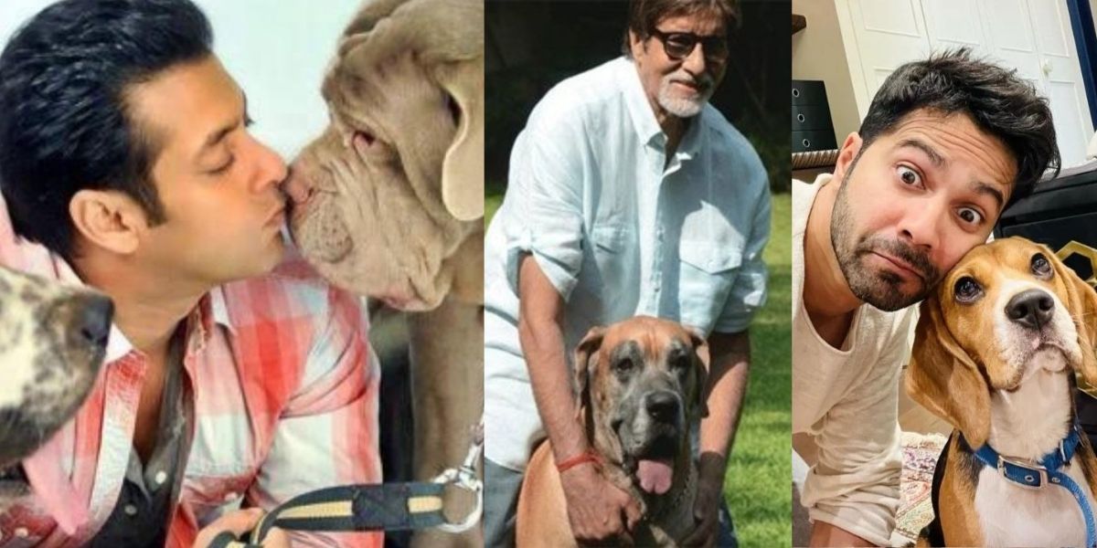 These-3-Bollywood-Stars-Are-Dog-Lovers-One-Of-Them-Has-50-Dogs-At-Home