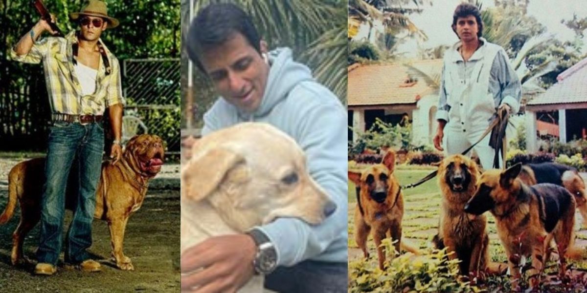 डॉग लवर हैं ये 3 बॉलीवुड स्टार्स, एक ने तो पाले हैं घर में 50 कुत्ते 2 Dog Lover
