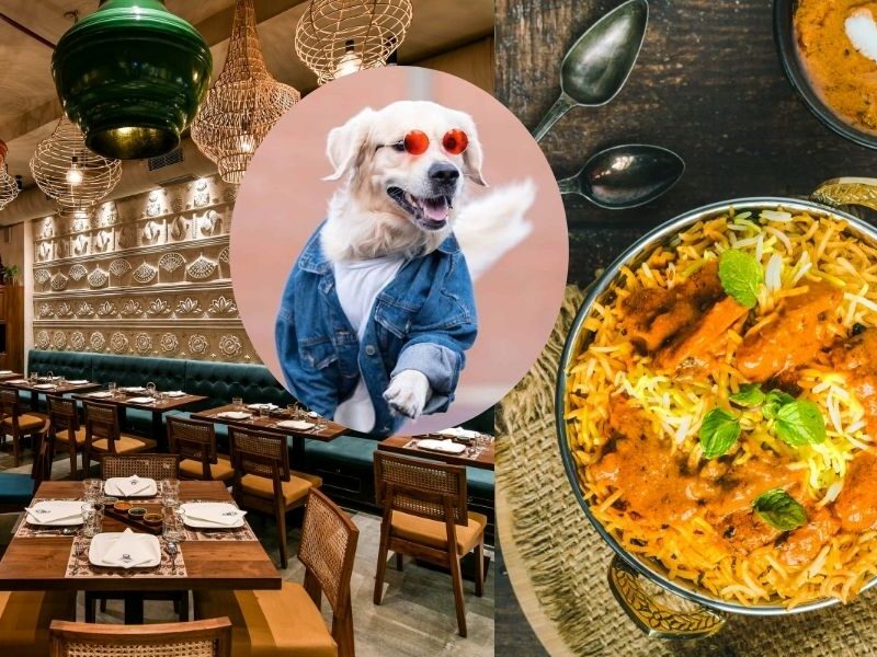 Delhis-3-Legged-Street-Dog-Became-A-Vip-Gets-Tandoori-Chicken-And-Biryani-From-The-Restaurant-Every-Day-You-Will-Be-Surprised-To-Know-The-Reason