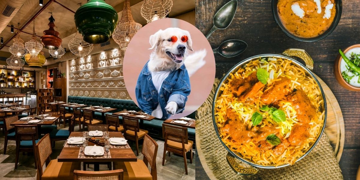 Delhis-3-Legged-Street-Dog-Became-A-Vip-Gets-Tandoori-Chicken-And-Biryani-From-The-Restaurant-Every-Day-You-Will-Be-Surprised-To-Know-The-Reason
