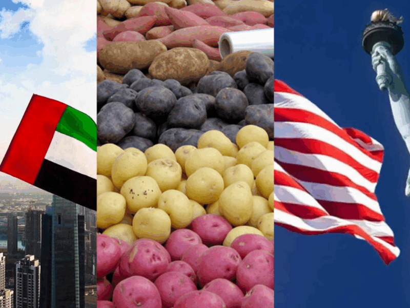 What Is The Price Of Potatoes In America And Dubai?