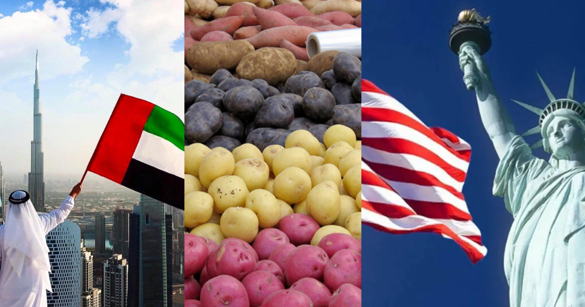 What Is The Price Of Potatoes In America And Dubai?