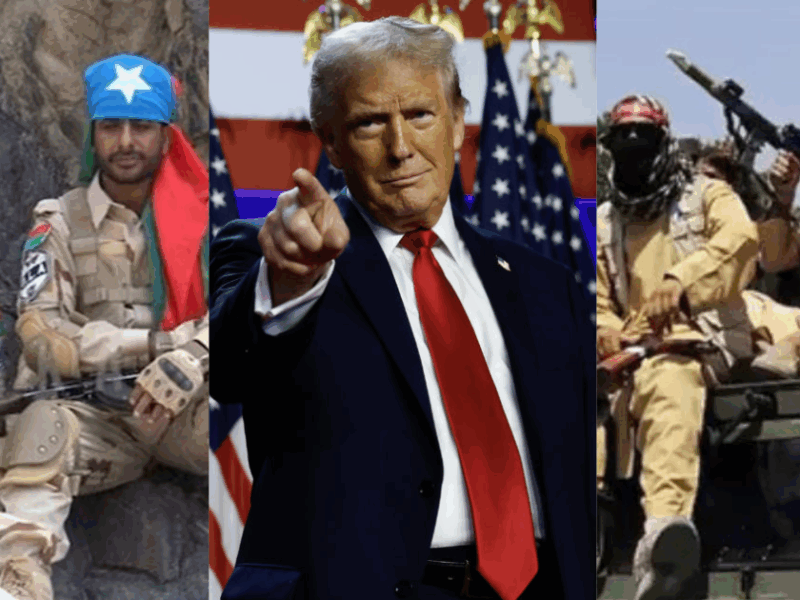 America-Painted-In-Pakistans-Colour-Declared-Bla-Army-A-Terrorist-Organisation