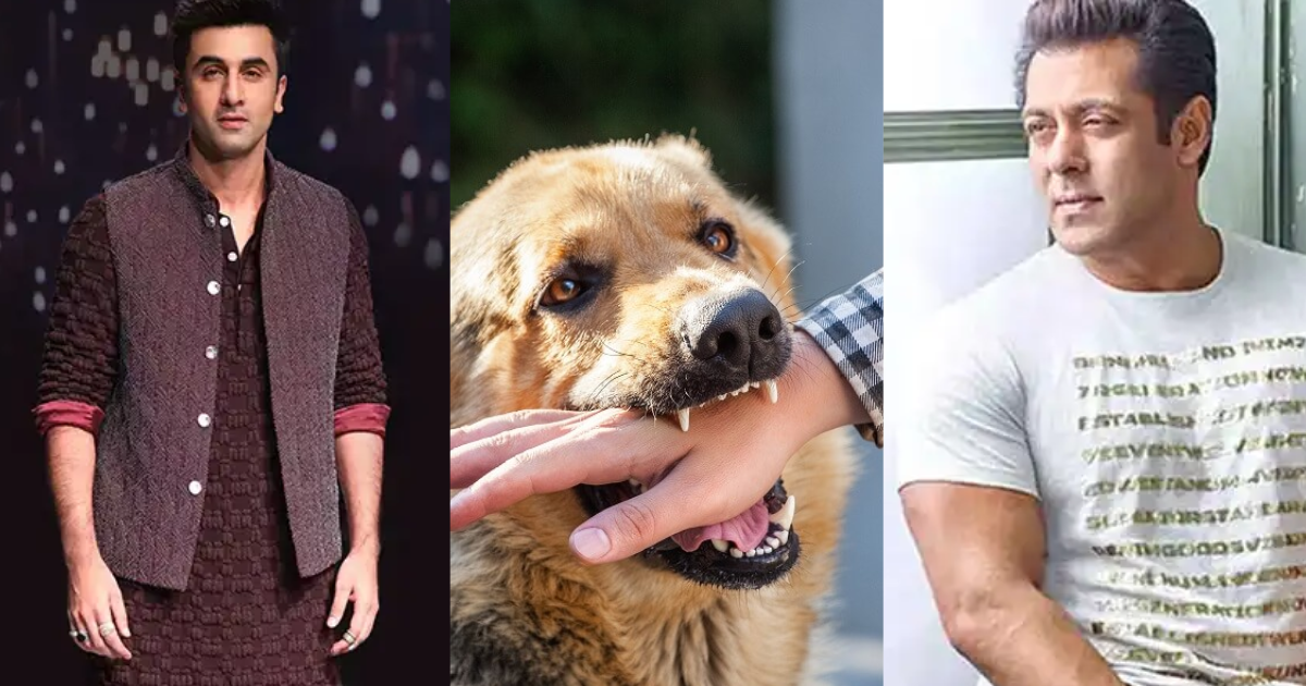 This Bollywood Actor Has Also Become A Victim Of A Stray Dog, Shared A Painful Picture Of A 'Dog Bite'