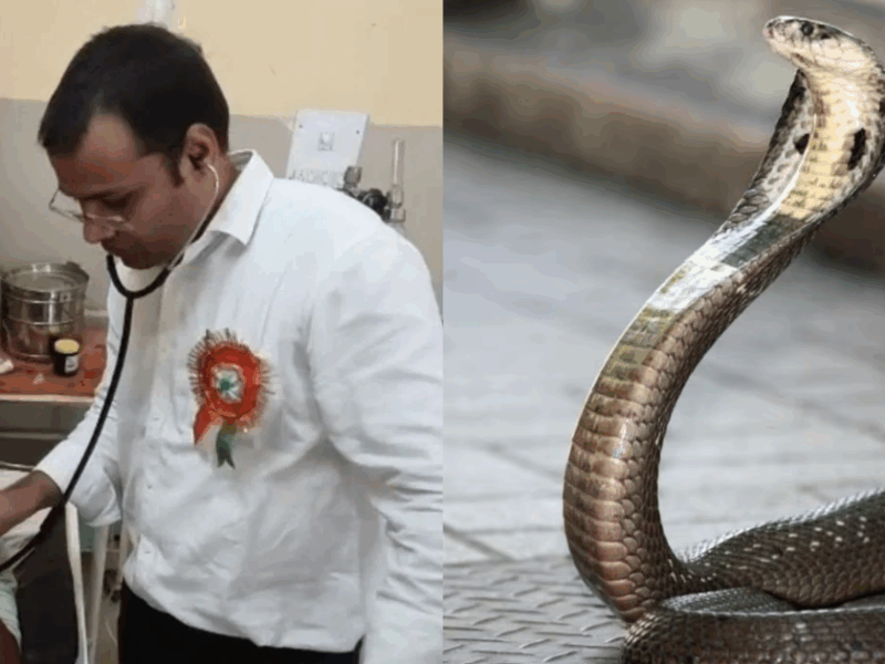 15 Year Old Still Alive Even After Being Bitten By A Cobra Snake