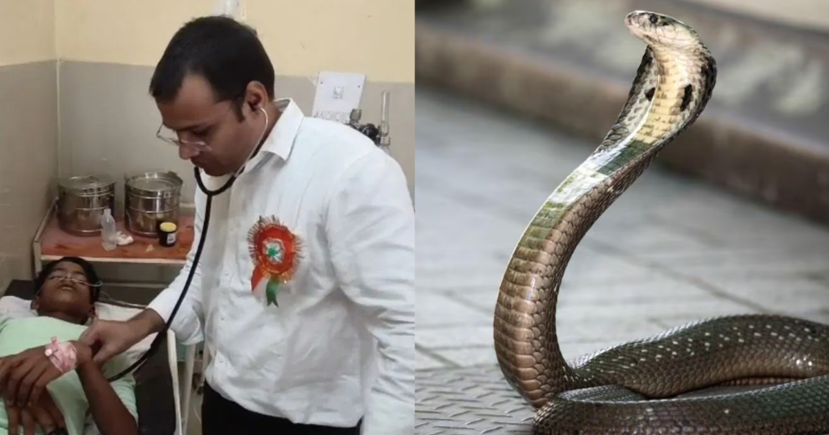 15 Year Old Still Alive Even After Being Bitten By A Cobra Snake