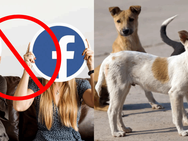 After Dogs, Now Instagram And Facebook Are Going To Be Banned In The Country