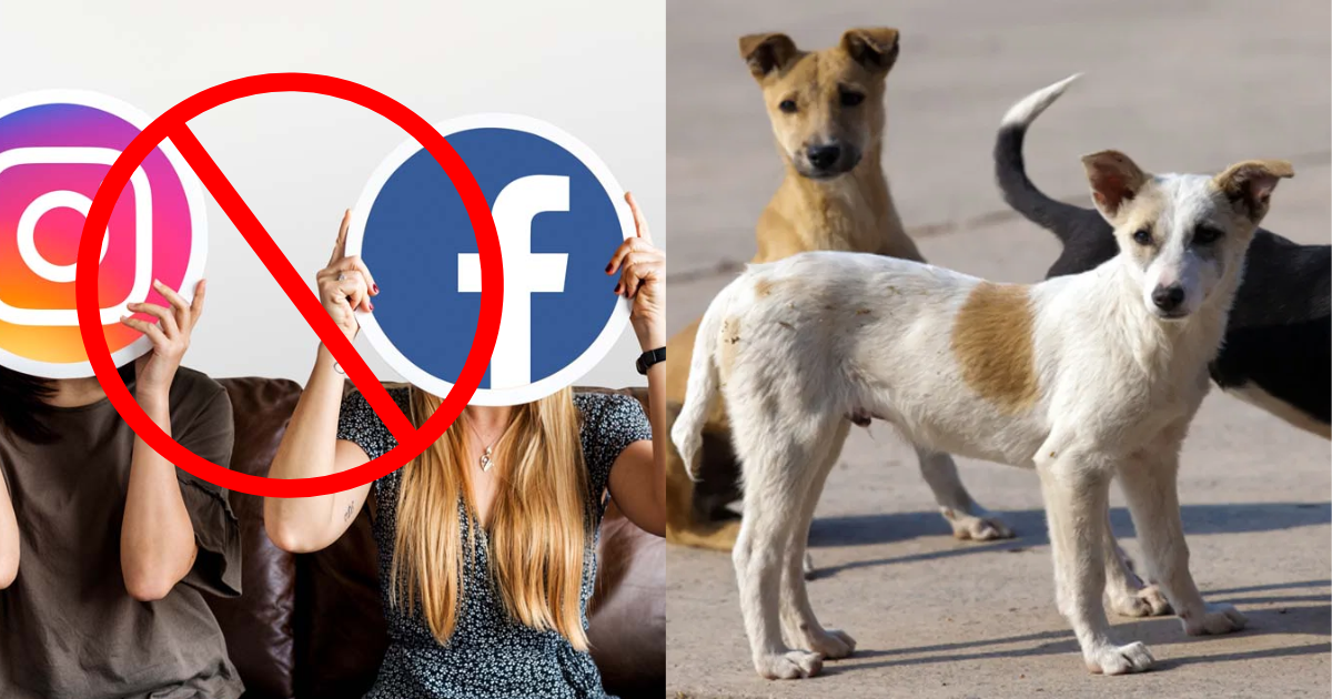 After Dogs, Now Instagram And Facebook Are Going To Be Banned In The Country