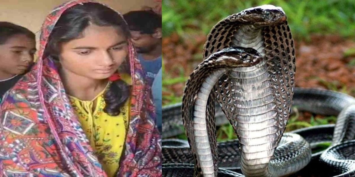 Uttarpradesh Is-The-Story-Of-The-Snake-And-The-Serpent-True-The-Girl-Was-Bitten-10-Times-In-42-Days-But-She-Still-Survived