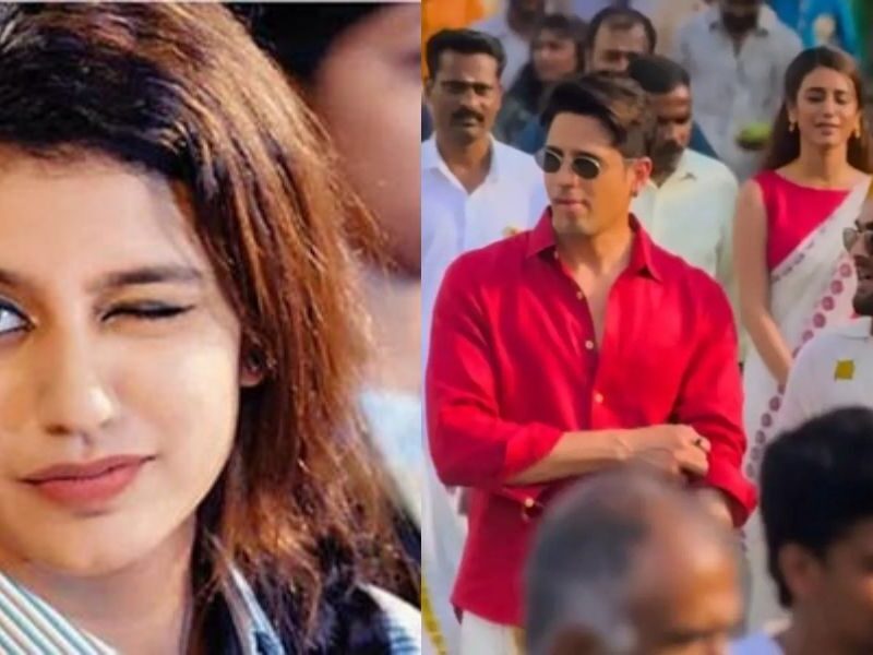 Priya-Prakash-Varrier-Became-A-Star-With-A-Wink-Then-Why-Did-She-Remain-Confined-To-Only-Background-Roles
